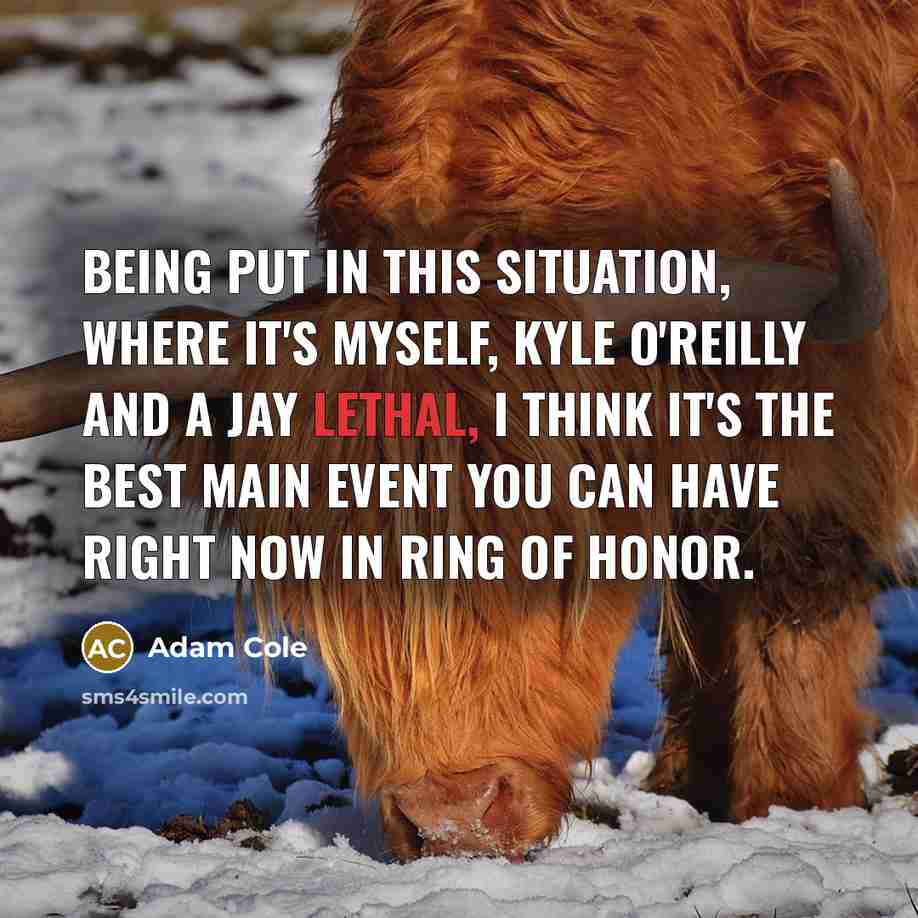 “Being put in this situation, where it's myself, Kyle O'Reilly…” quote by Adam Cole