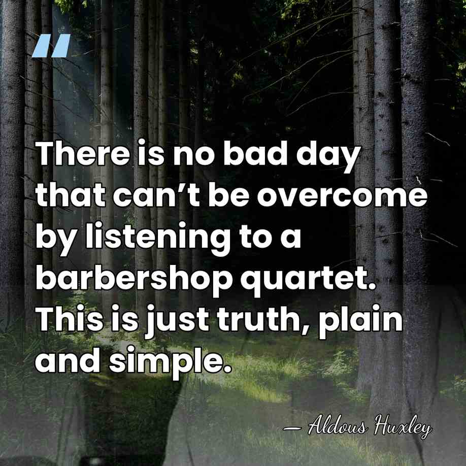 There is no bad day that can’t be overcome by listening to&hellip; - Aldous Huxley