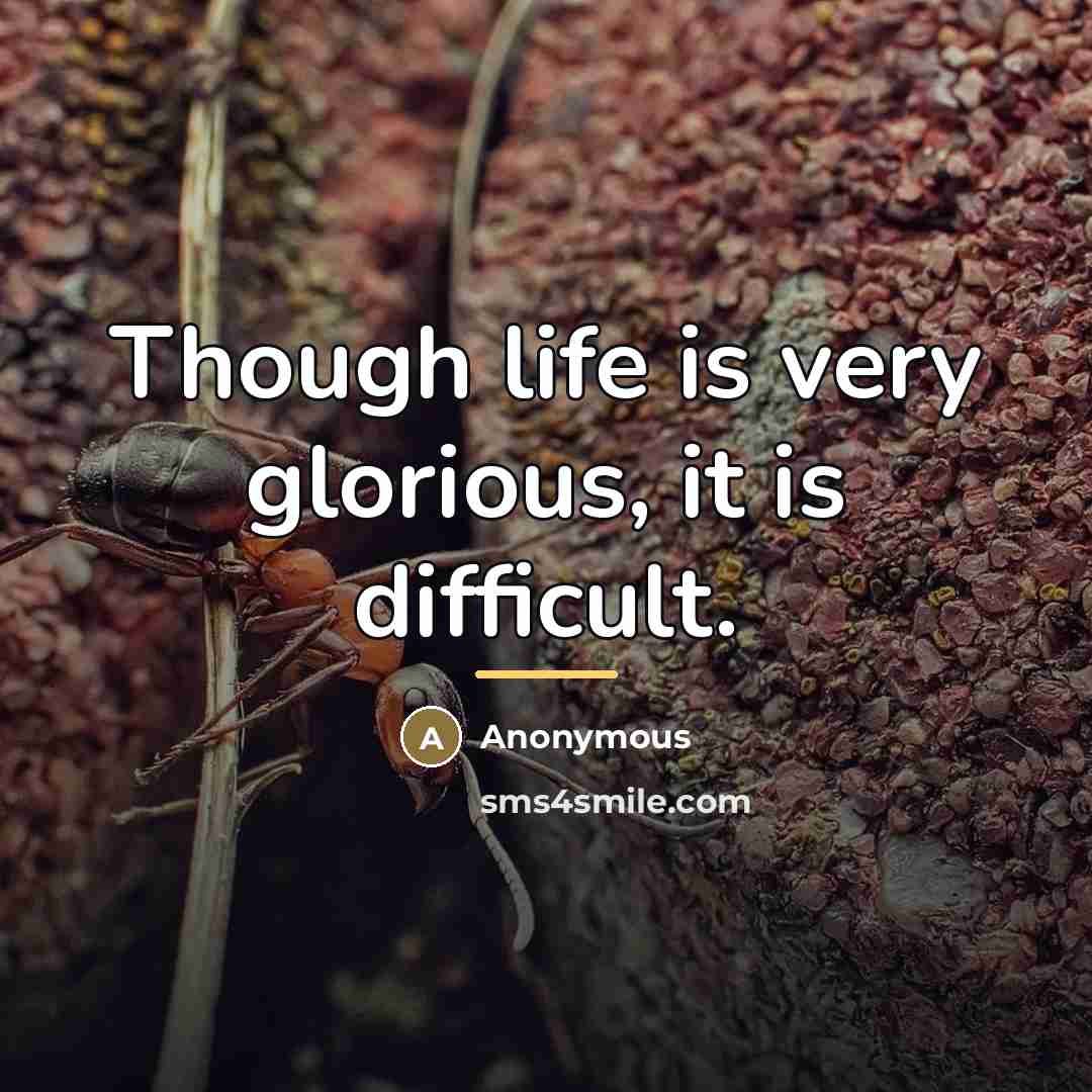 “Though life is very glorious, it is difficult.…” quote by Anonymous