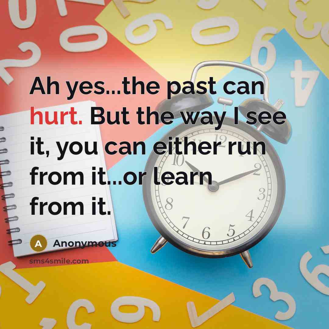 “Ah yes...the past can hurt. But the way I see it, you can either run from it...or learn from it.” quote by Anonymous