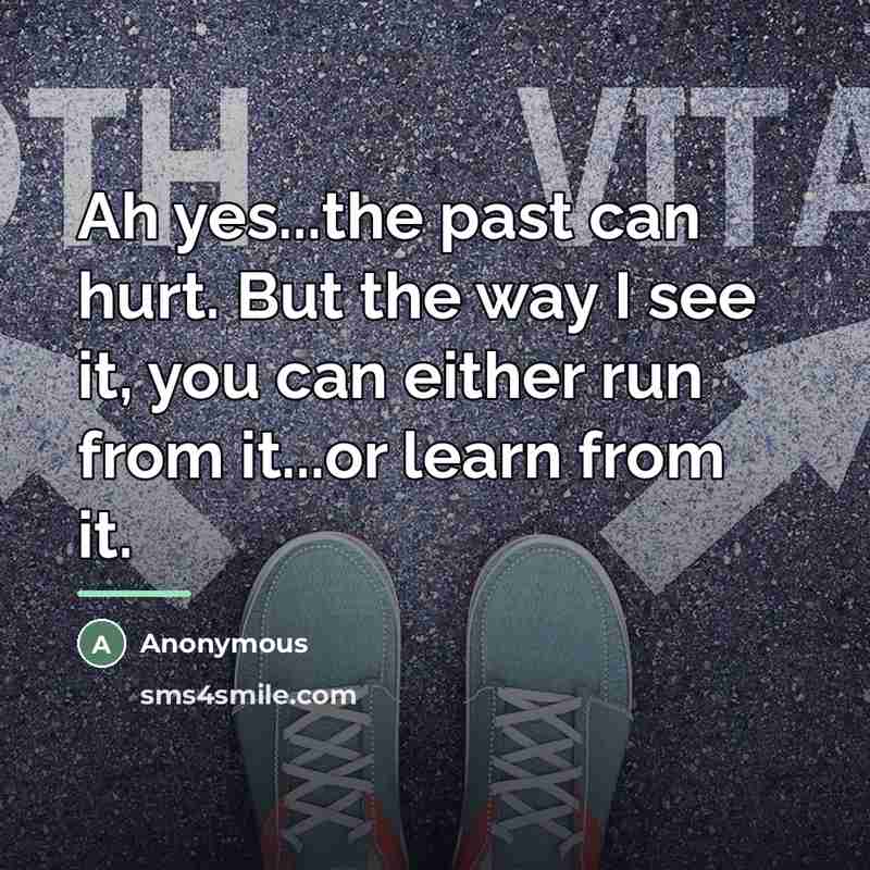 “Ah yes...the past can hurt. But the way I see…” quote by Anonymous