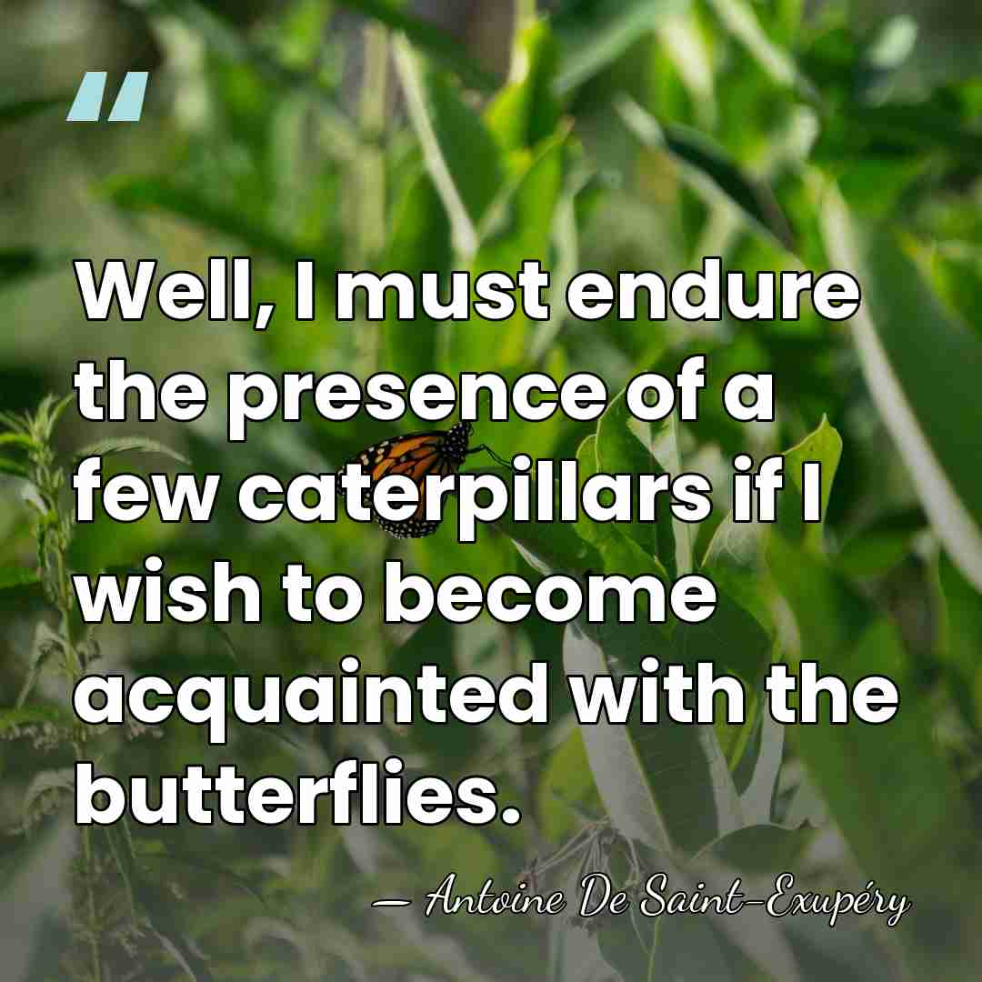 Well, I must endure the presence of a few caterpillars if I&hellip; - Antoine De Saint-Exupéry