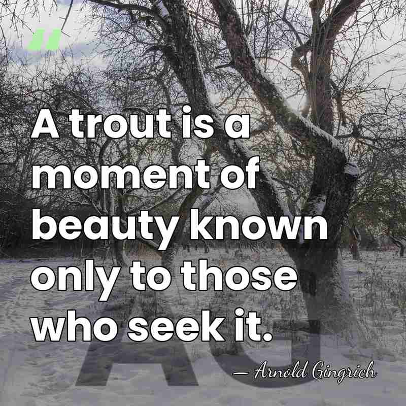 A trout is a moment of beauty known only to those who&hellip; - Arnold Gingrich