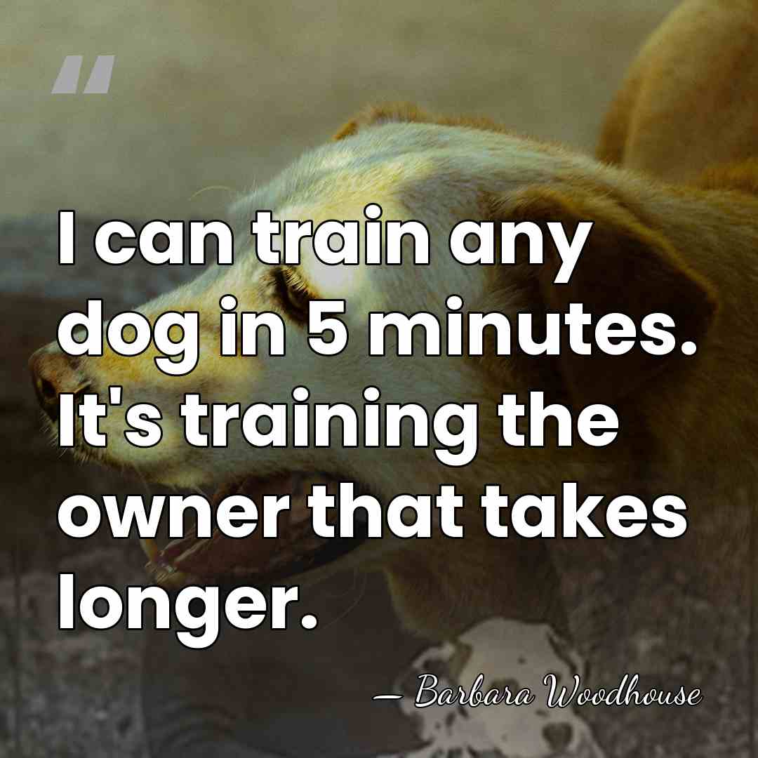 I can train any dog in 5 minutes. It's training the owner&hellip; - Barbara Woodhouse