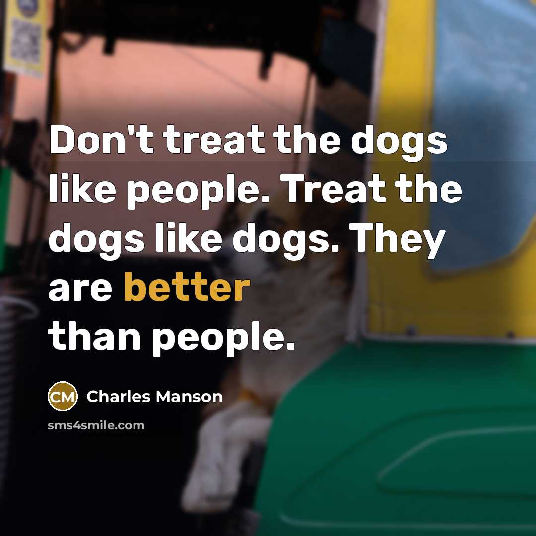 “Don't treat the dogs like people. Treat the dogs like dogs. They are better than people.” quote by Charles Manson