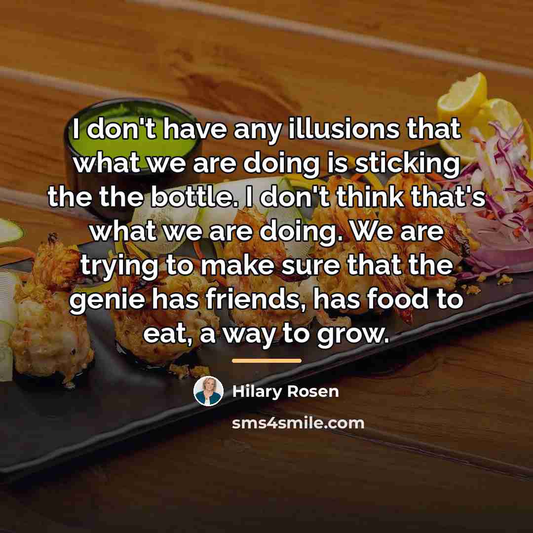 “I don't have any illusions that what we are doing…” quote by Hilary Rosen