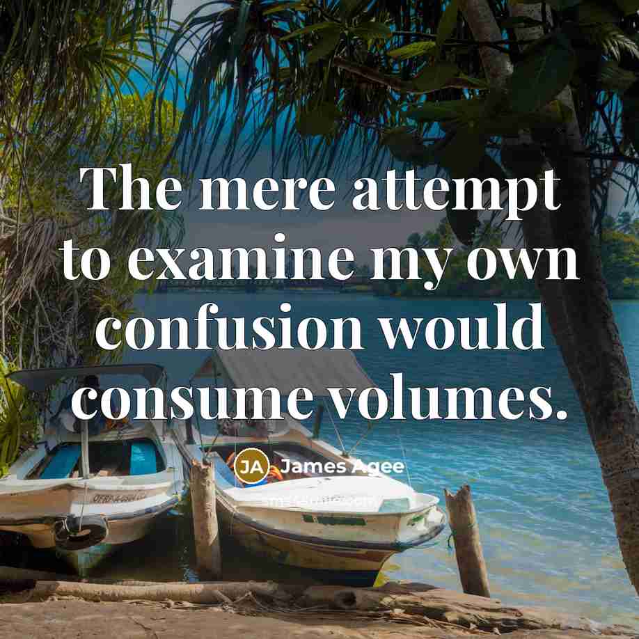 “The mere attempt to examine my own confusion would consume…” quote by James Agee