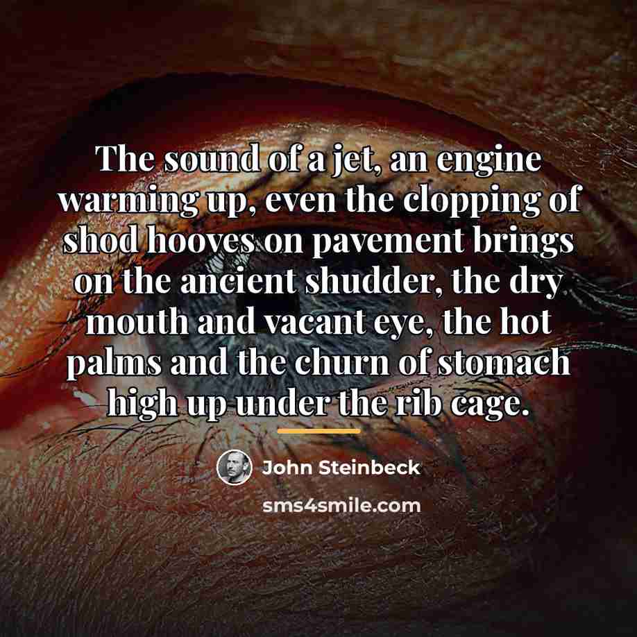 “The sound of a jet, an engine warming up, even…” quote by John Steinbeck