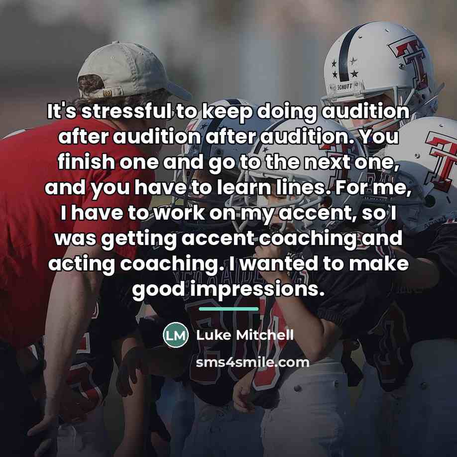 “It's stressful to keep doing audition after audition after audition.…” quote by Luke Mitchell