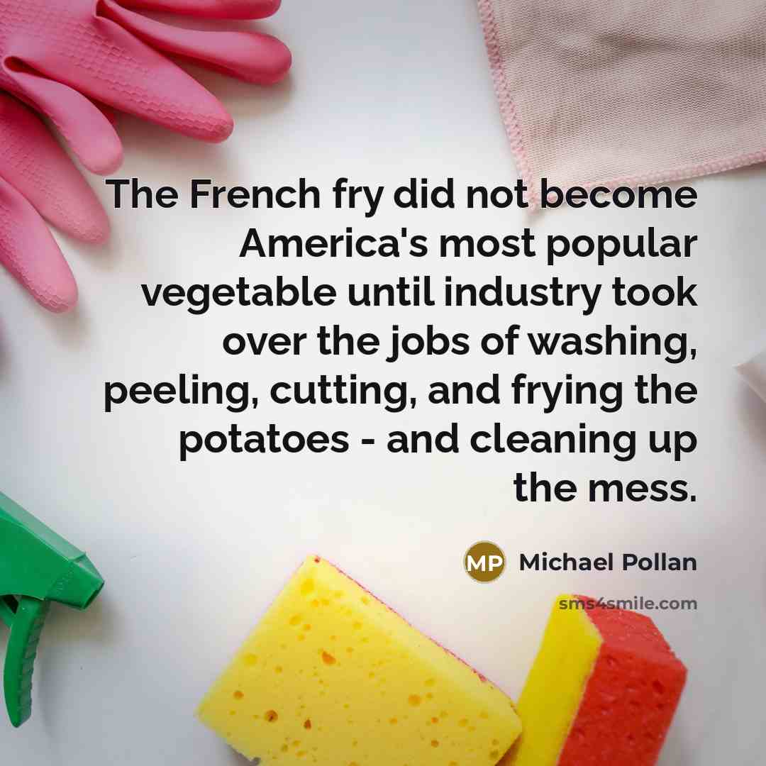 “The French fry did not become America's most popular vegetable…” quote by Michael Pollan