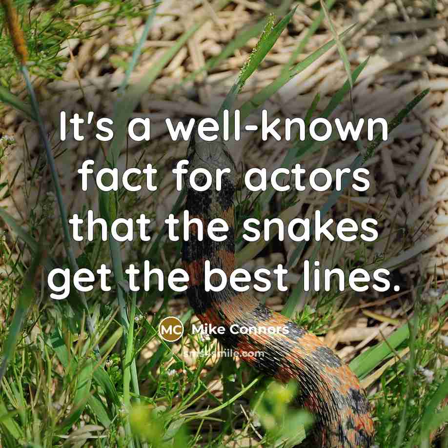 “It's a well-known fact for actors that the snakes get…” quote by Mike Connors