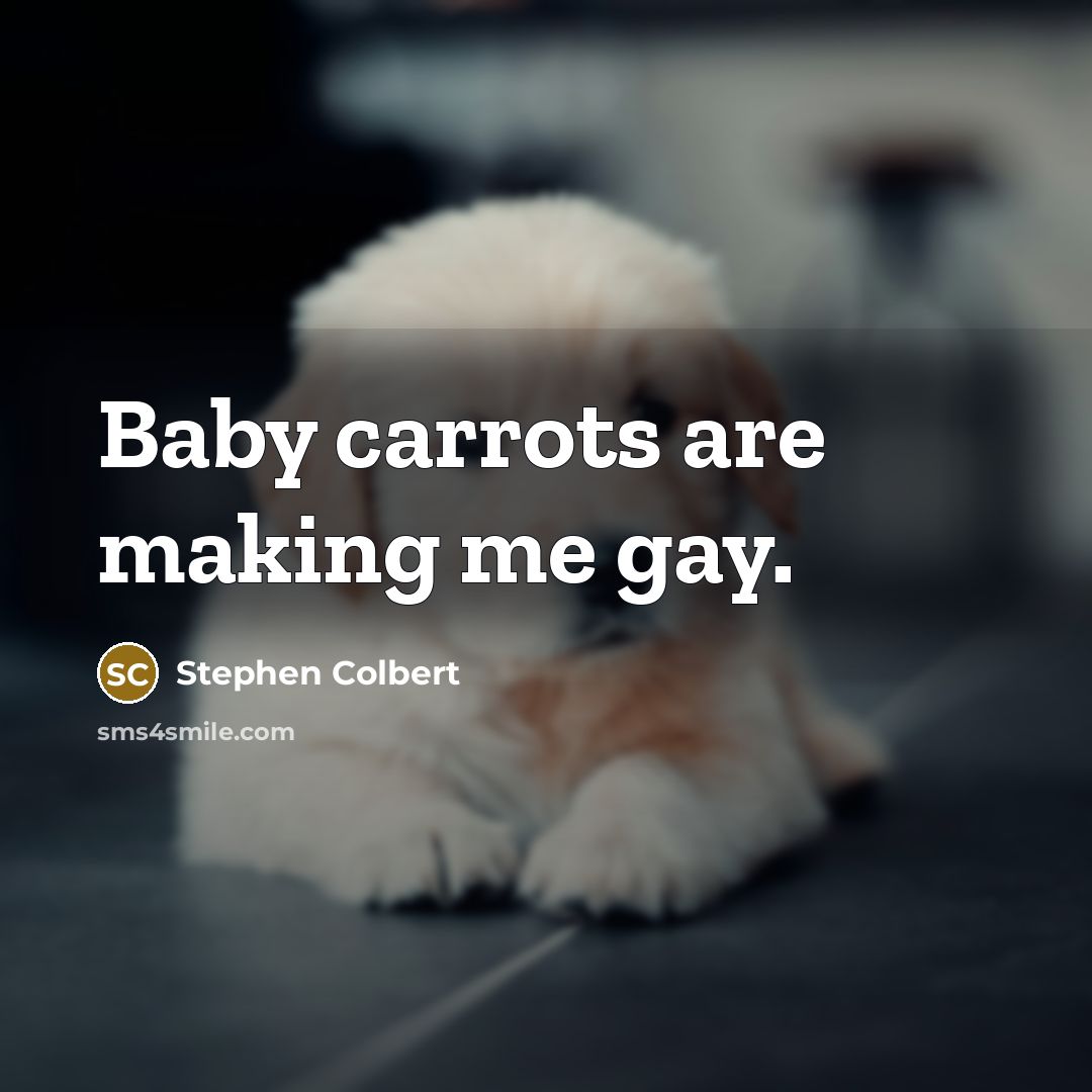 “Baby carrots are making me gay.…” quote by Stephen Colbert