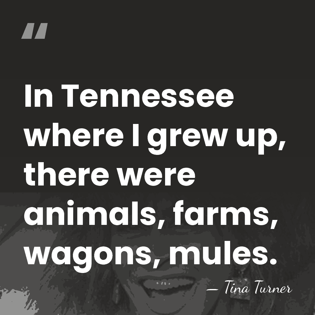 In Tennessee where I grew up, there were animals, farms, wagons, mules. - Tina Turner