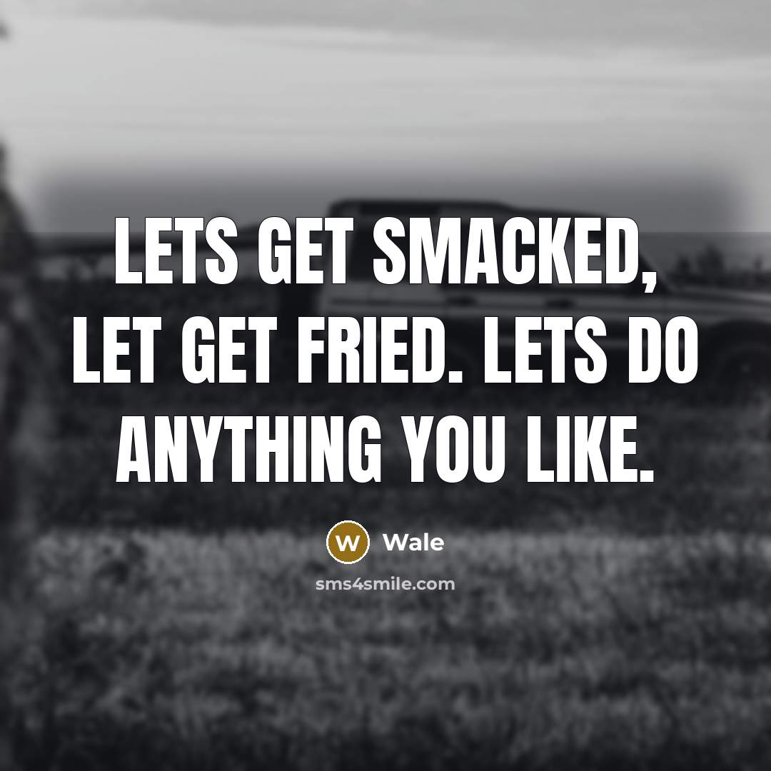 “Lets get smacked, let get fried. Lets do anything you like.” quote by Wale