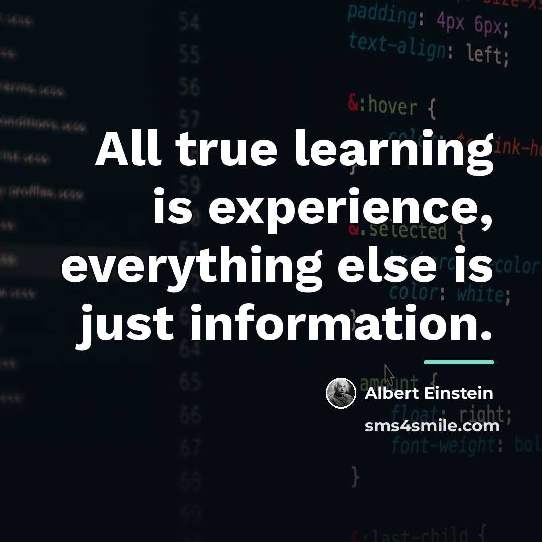 “All true learning is experience, everything else is just information.…” quote by Albert Einstein
