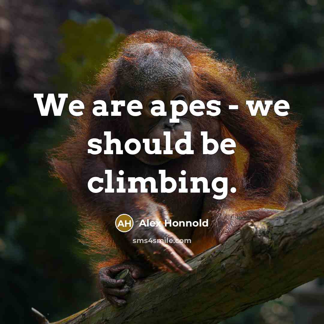 “We are apes - we should be climbing.…” quote by Alex Honnold