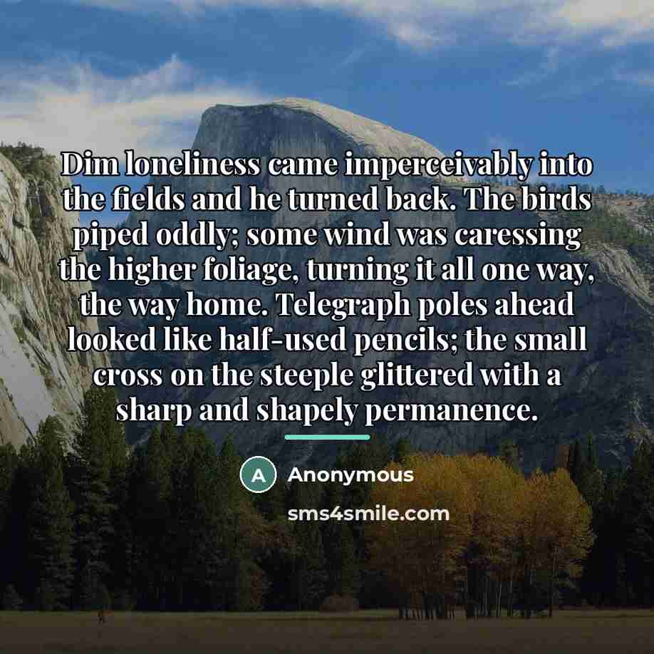 “Dim loneliness came imperceivably into the fields and he turned…” quote by Anonymous
