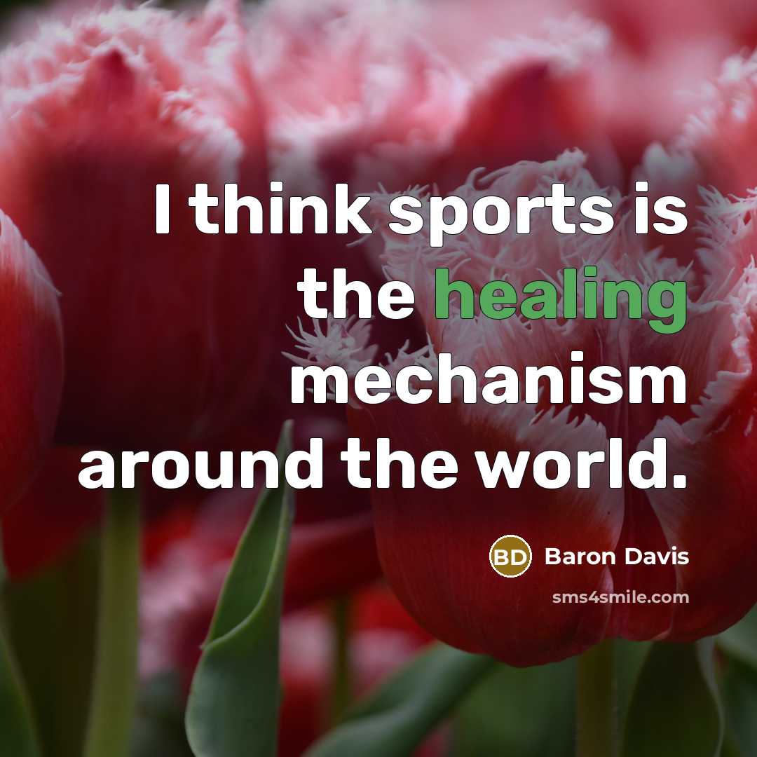 “I think sports is the healing mechanism around the world.…” quote by Baron Davis