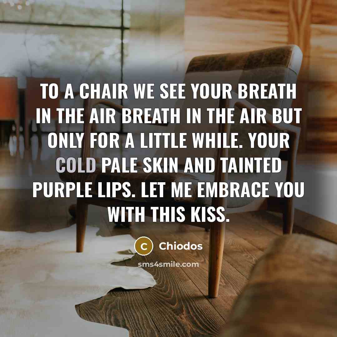 “To a chair we see your breath in the air breath in the air but only for a little while. Your cold pale skin and tainted purple lips. Let me embrace you with this kiss.” quote by Chiodos