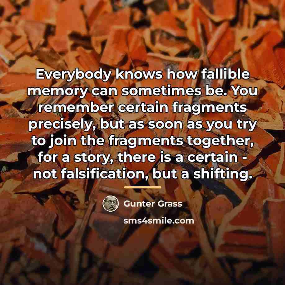 “Everybody knows how fallible memory can sometimes be. You remember…” quote by Gunter Grass