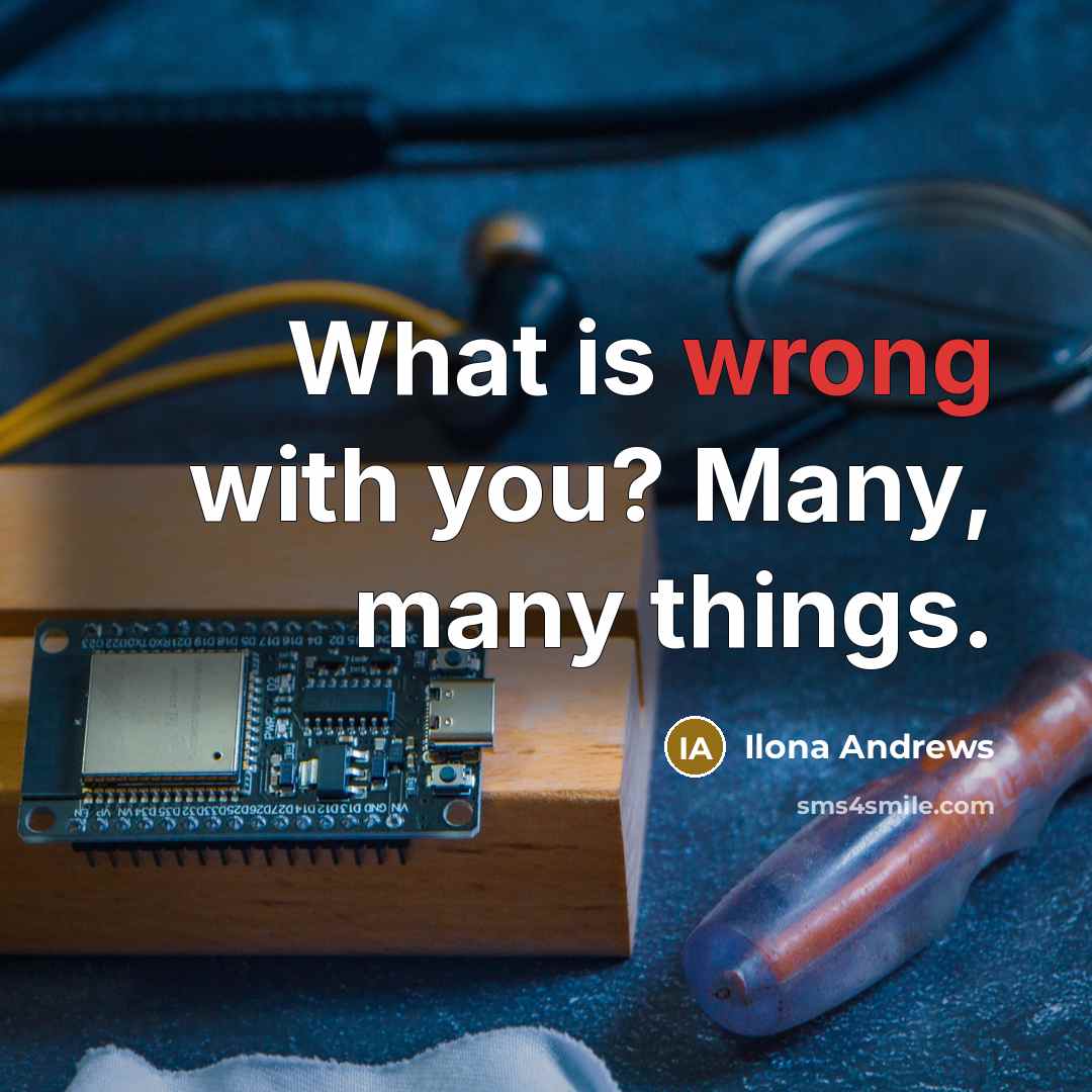 “What is wrong with you? Many, many things.…” quote by Ilona Andrews