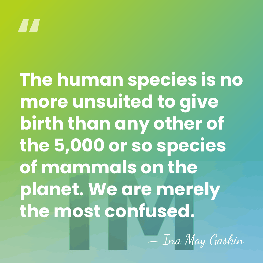 The human species is no more unsuited to give birth than any&hellip; - Ina May Gaskin