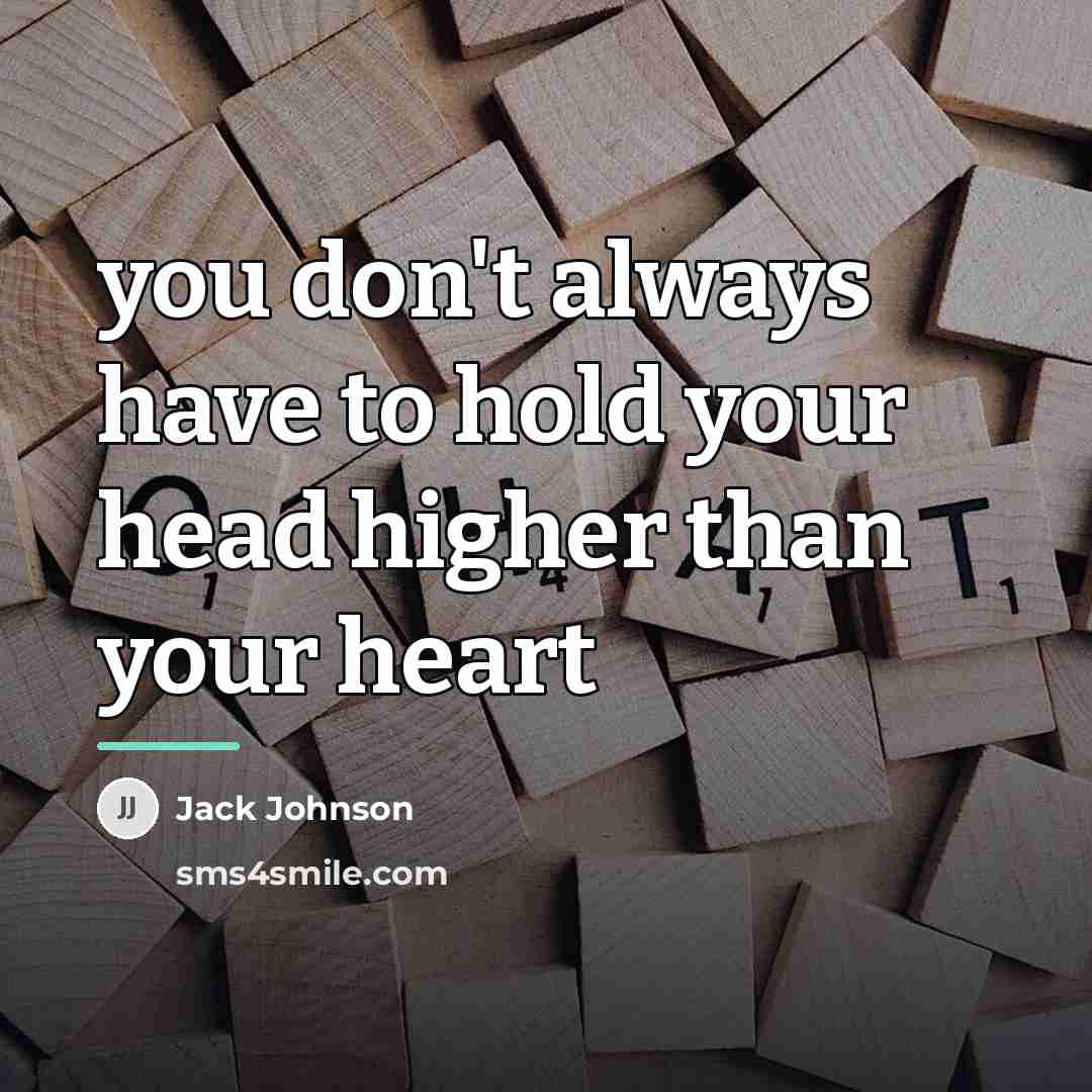 “you don't always have to hold your head higher than…” quote by Jack Johnson