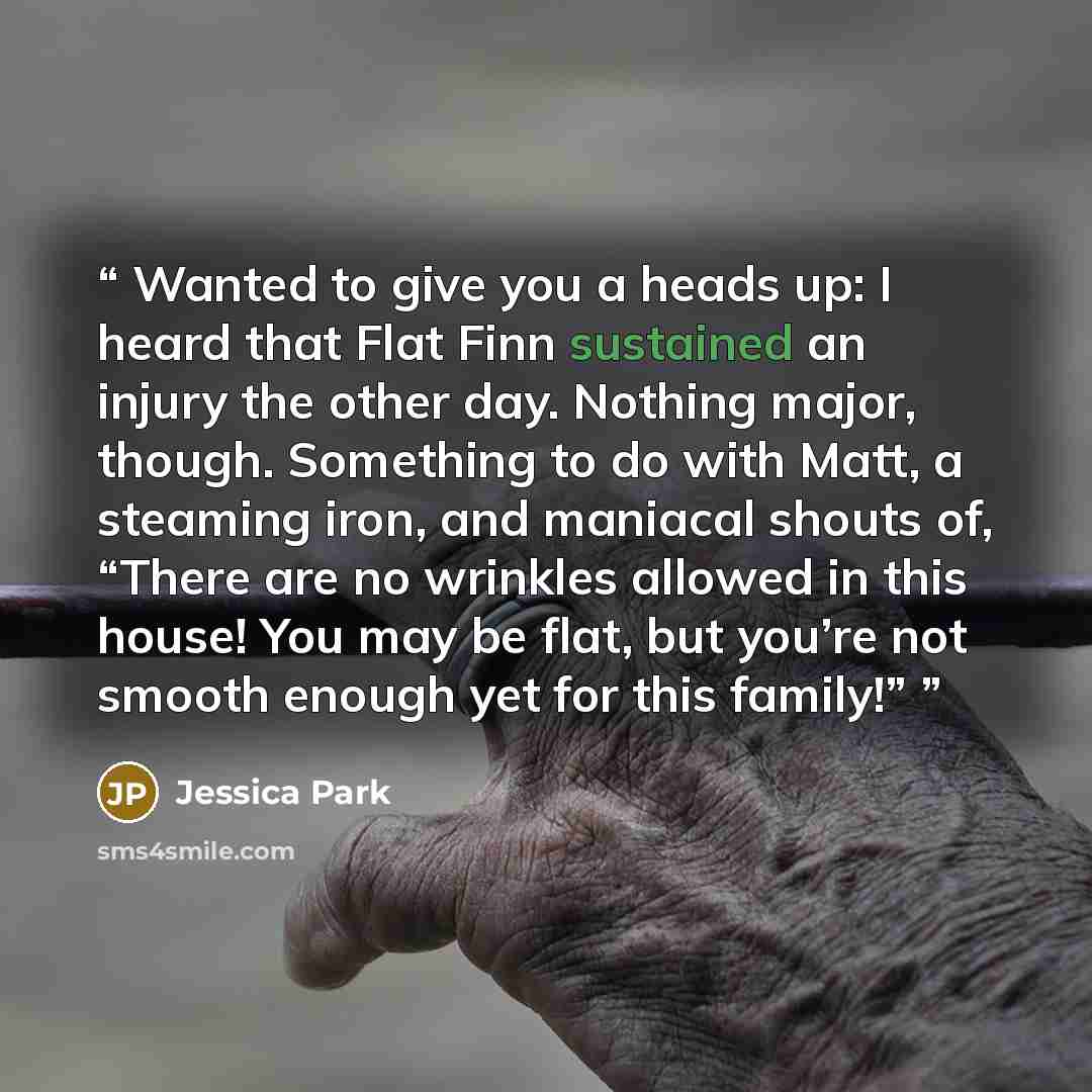 “Wanted to give you a heads up: I heard that Flat Finn sustained an injury the other day. Nothing major, though. Something to do with Matt, a steaming iron, and maniacal shouts of, “There are no wrinkles allowed in this house! You may be flat, but you’re not smooth enough yet for this family!”” quote by Jessica Park