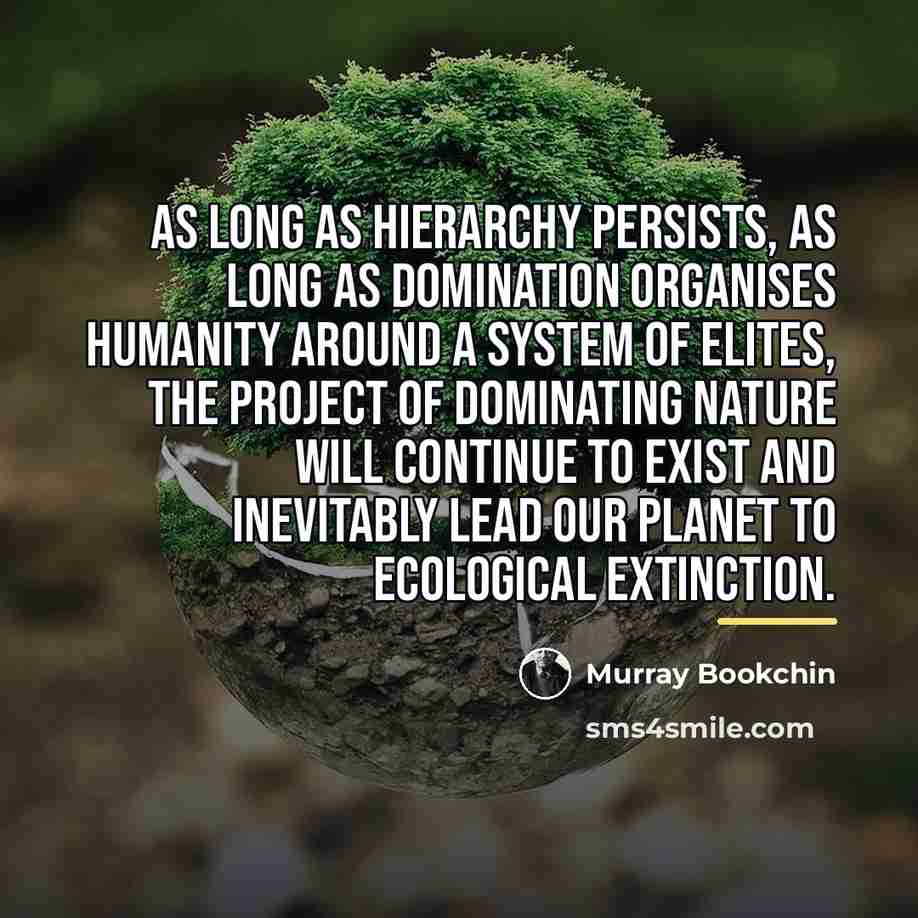 “As long as hierarchy persists, as long as domination organises…” quote by Murray Bookchin