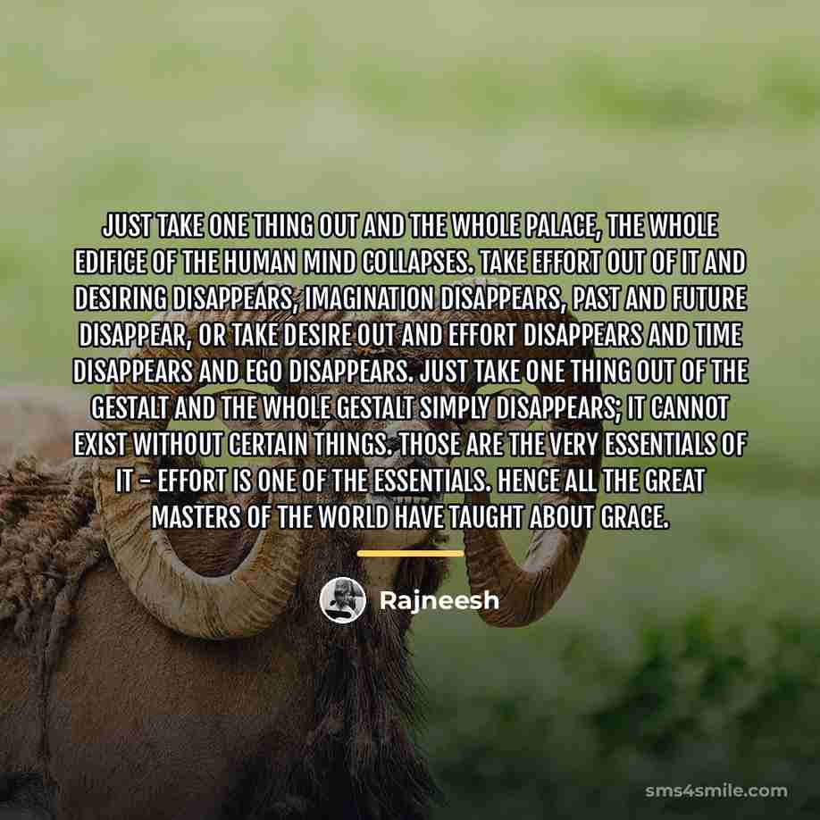 “Just take one thing out and the whole palace, the…” quote by Rajneesh