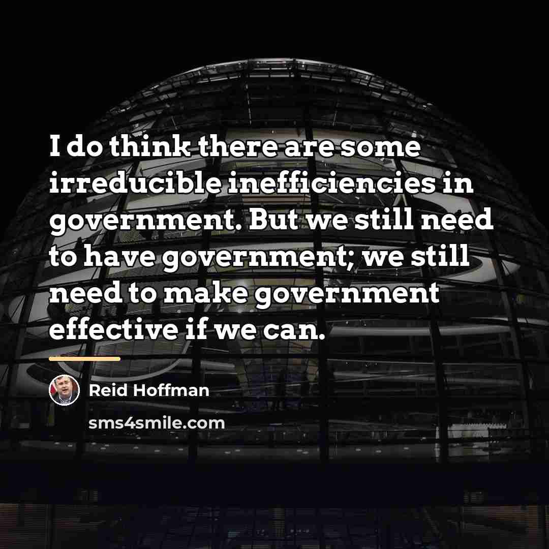 “I do think there are some irreducible inefficiencies in government.…” quote by Reid Hoffman