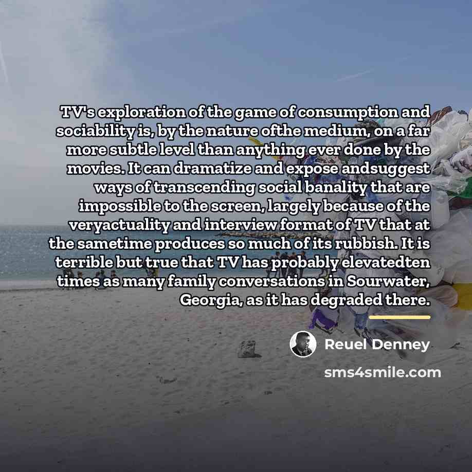 “TV's exploration of the game of consumption and sociability is,…” quote by Reuel Denney