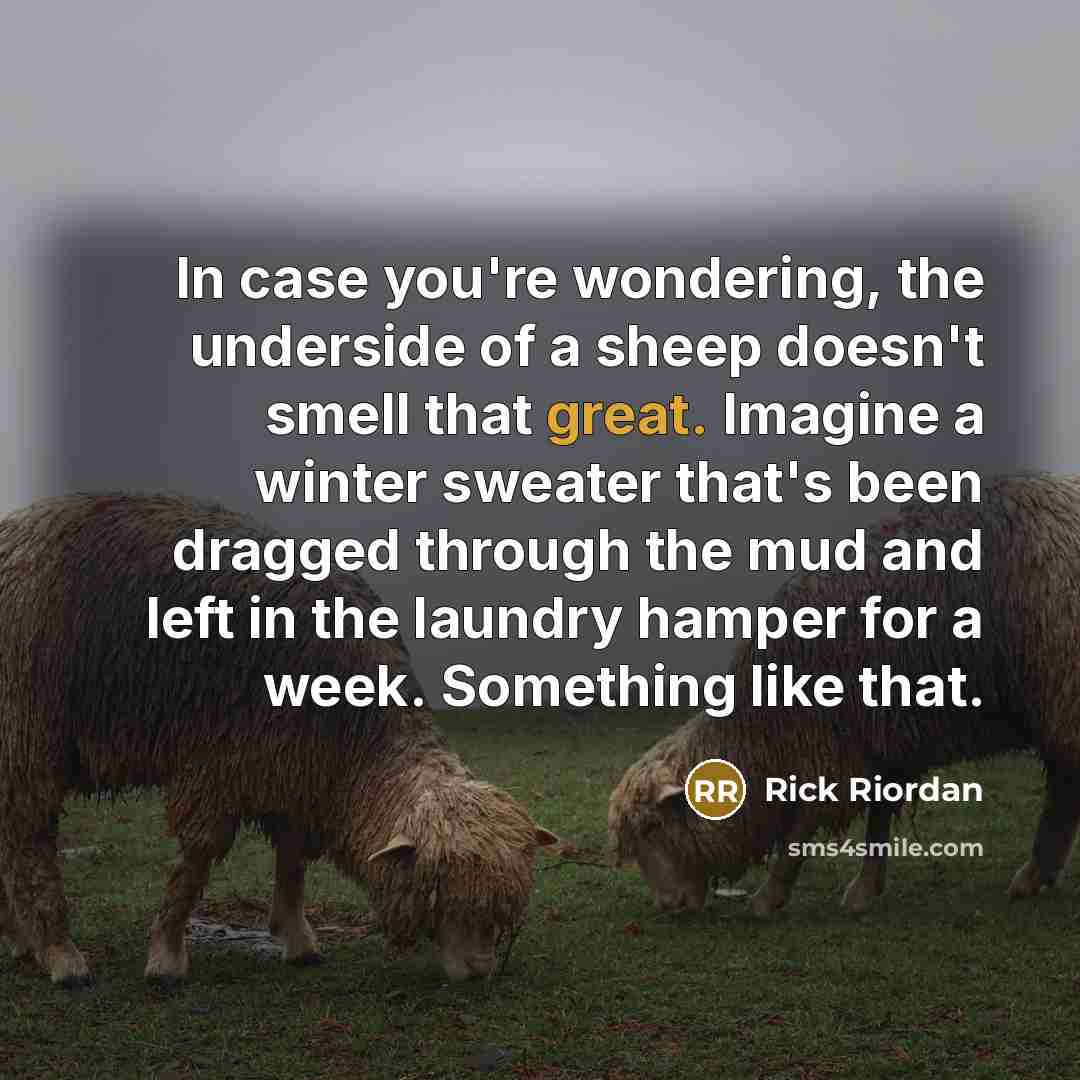 “In case you're wondering, the underside of a sheep doesn't…” quote by Rick Riordan