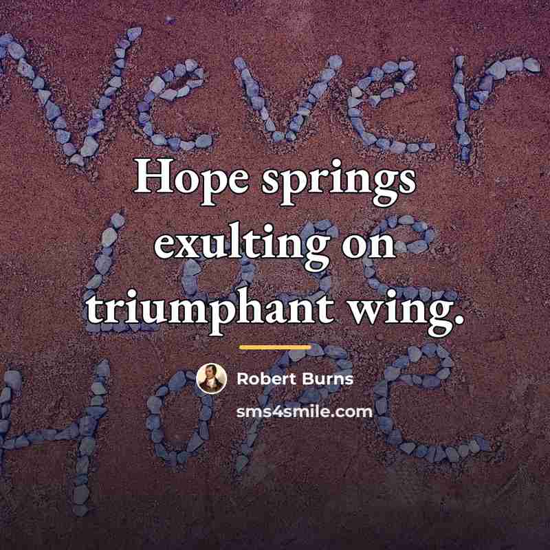 “Hope springs exulting on triumphant wing.…” quote by Robert Burns