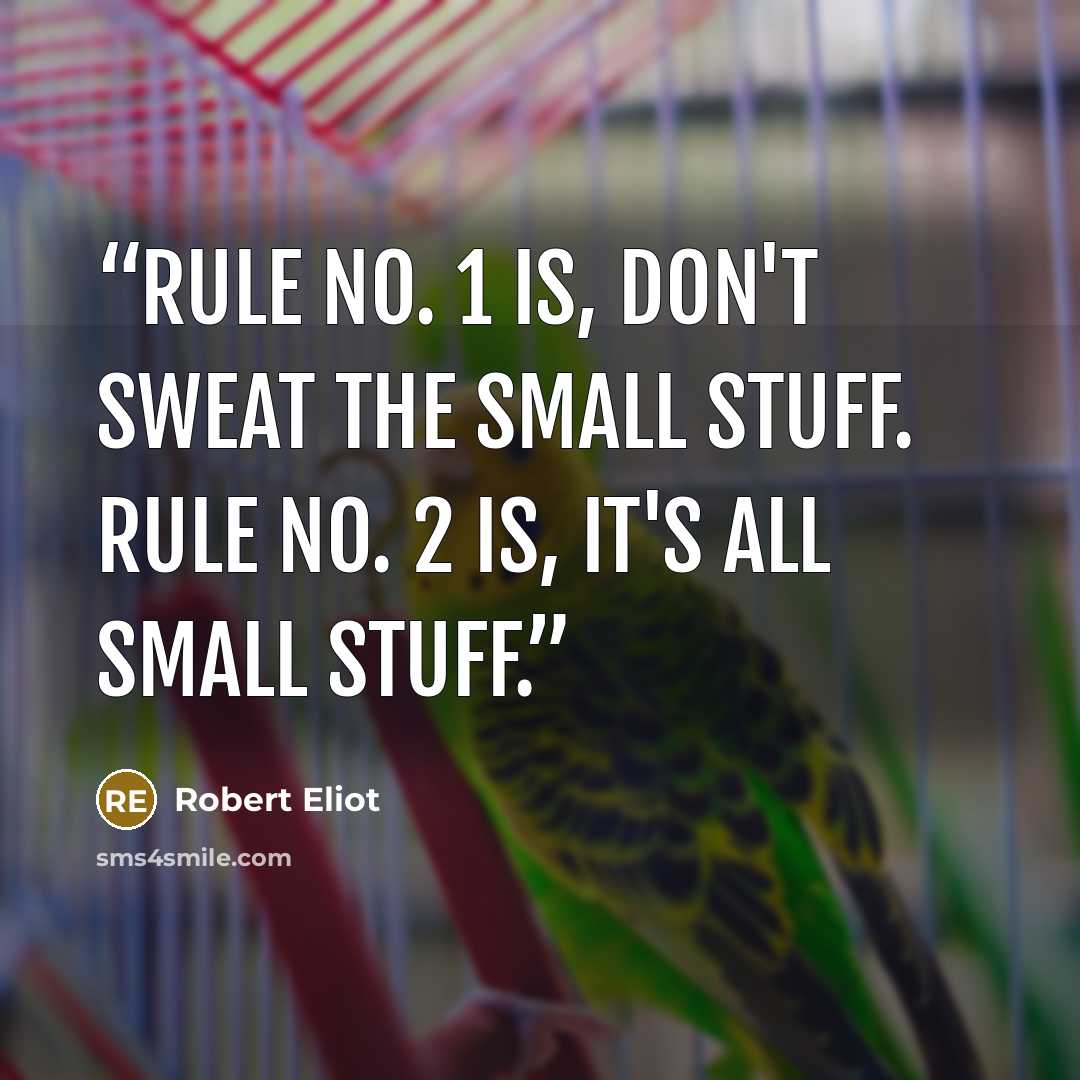 “Rule No. 1 is, don't sweat the small stuff. Rule No. 2 is, it's all small stuff.” quote by Robert Eliot