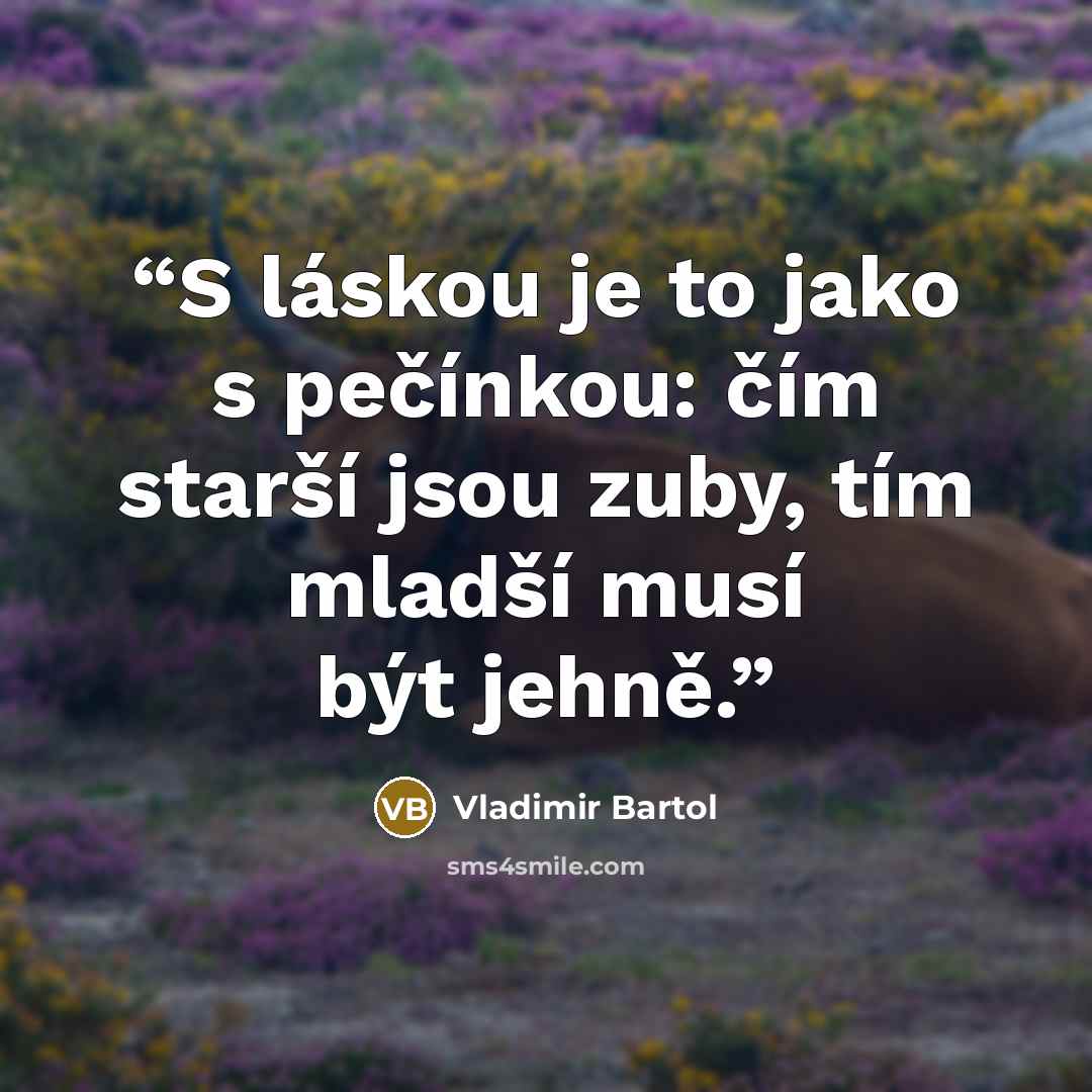 “S láskou je to jako s pečínkou: čím starší jsou zuby, tím mladší musí být jehně.” quote by Vladimir Bartol