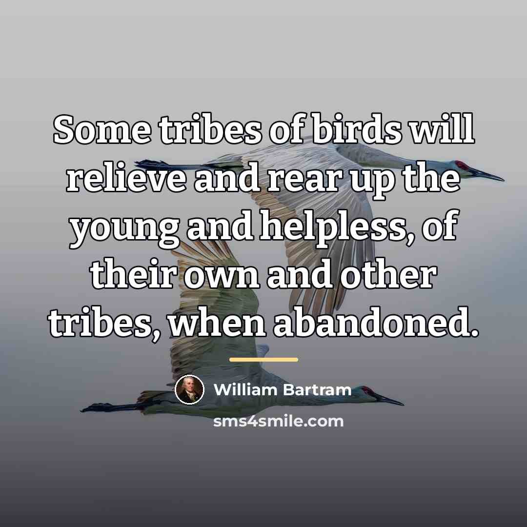 “Some tribes of birds will relieve and rear up the…” quote by William Bartram