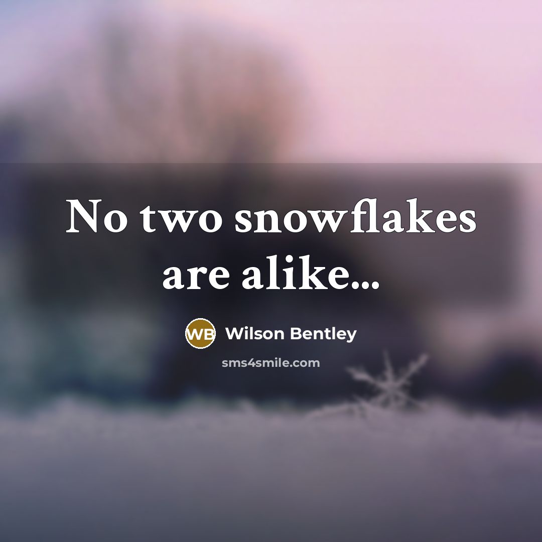 “No two snowflakes are alike...…” quote by Wilson Bentley