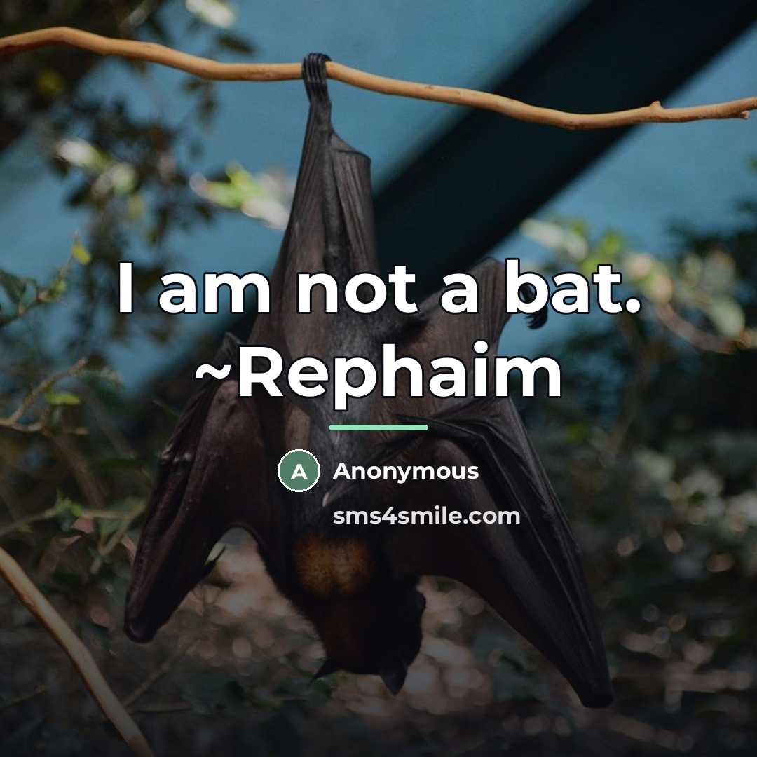 “I am not a bat. ~Rephaim…” quote by Anonymous
