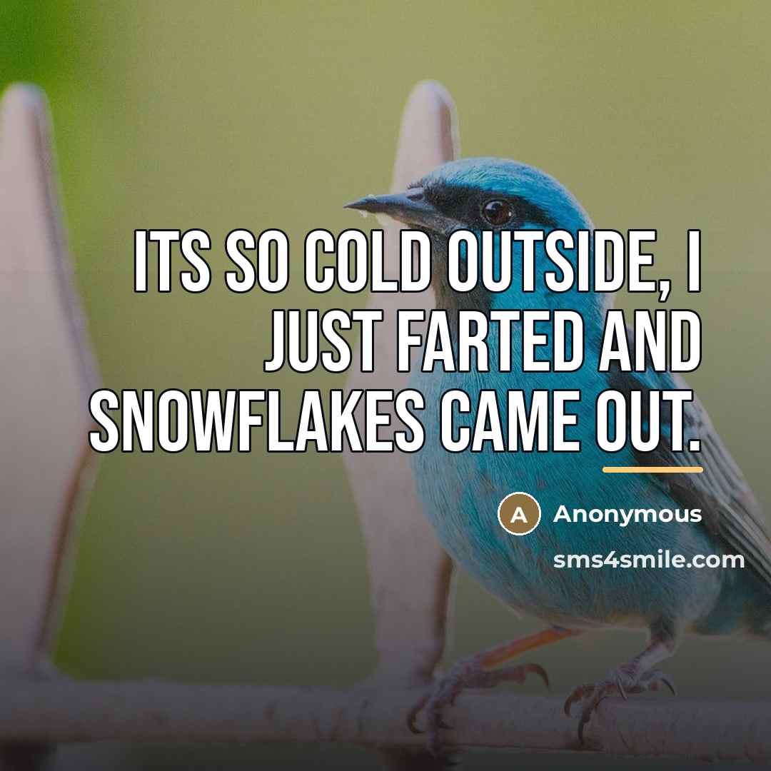 “Its so cold outside, I just farted and snowflakes came…” quote by Anonymous