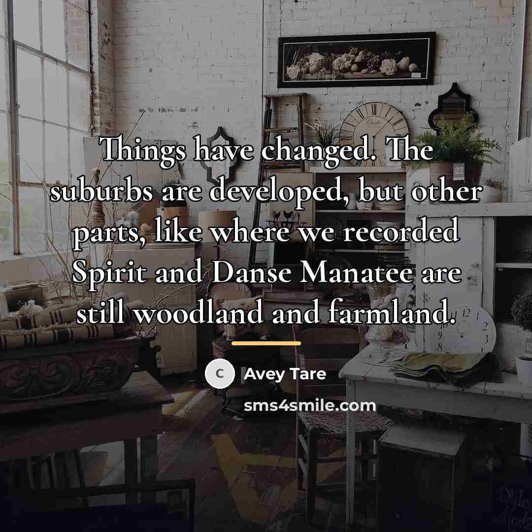 “Things have changed. The suburbs are developed, but other parts,…” quote by Avey Tare