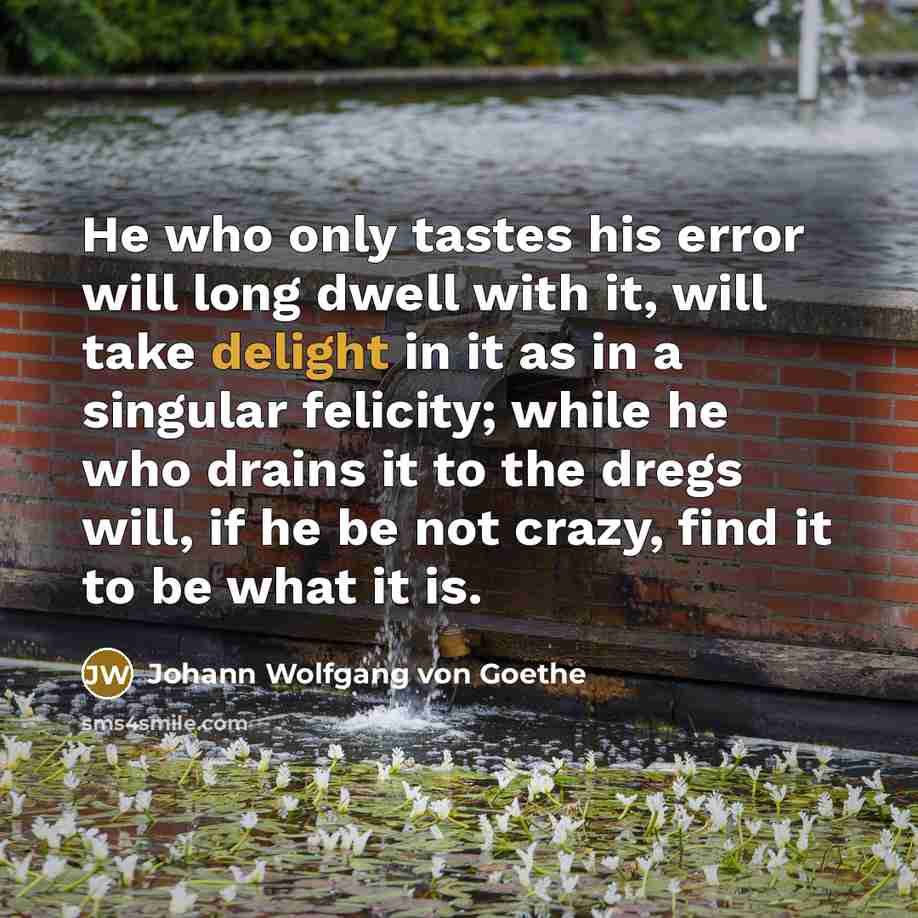 “He who only tastes his error will long dwell with…” quote by Johann Wolfgang von Goethe