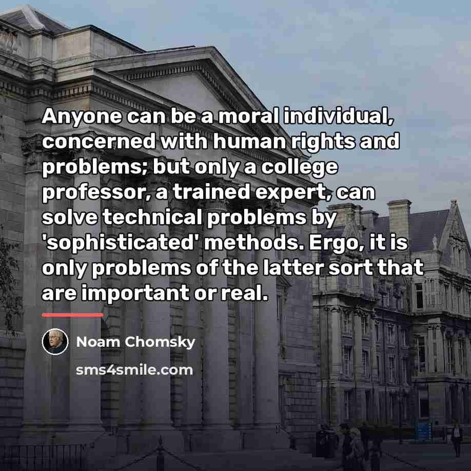 “Anyone can be a moral individual, concerned with human rights…” quote by Noam Chomsky