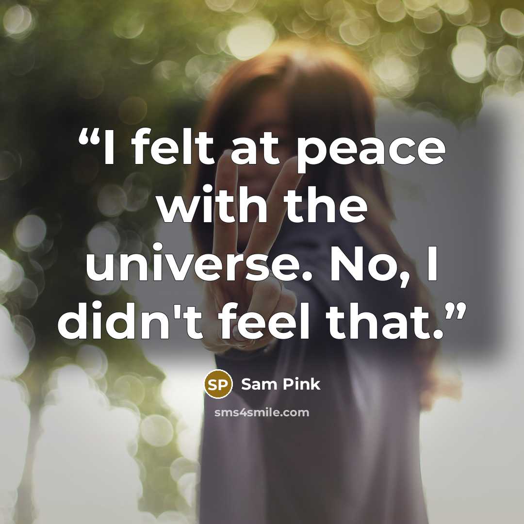 “I felt at peace with the universe. No, I didn't feel that.” quote by Sam Pink