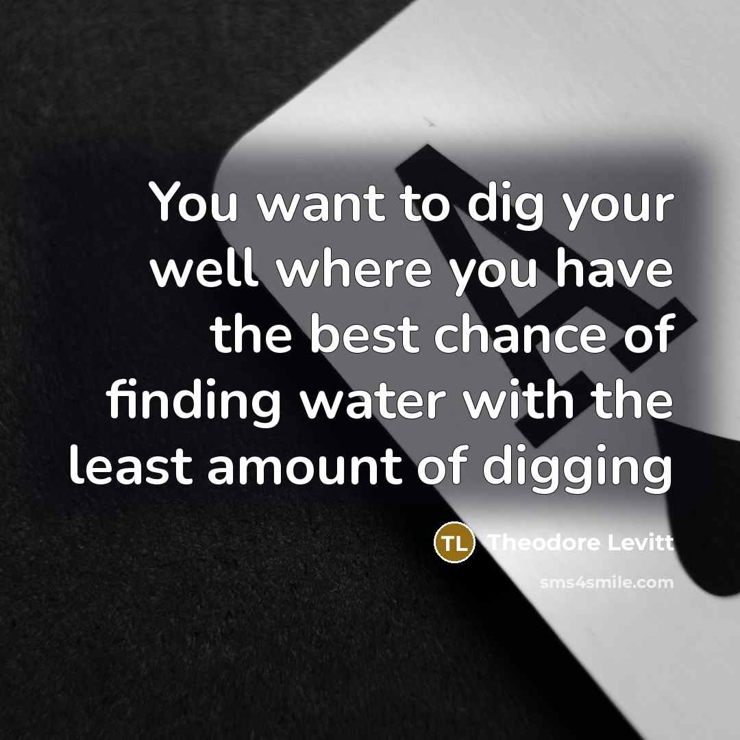 “You want to dig your well where you have the…” quote by Theodore Levitt