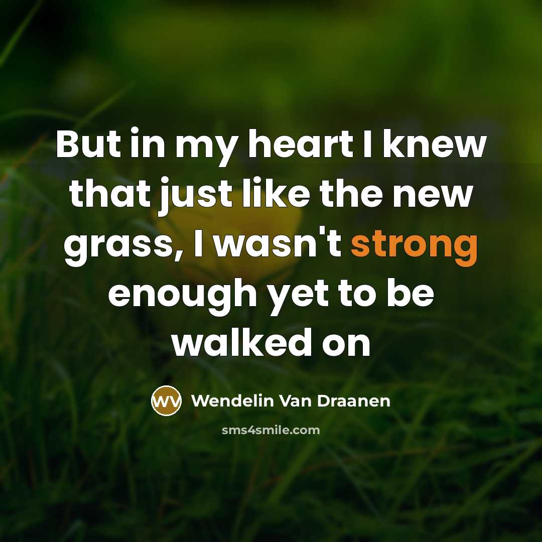 “But in my heart I knew that just like the…” quote by Wendelin Van Draanen