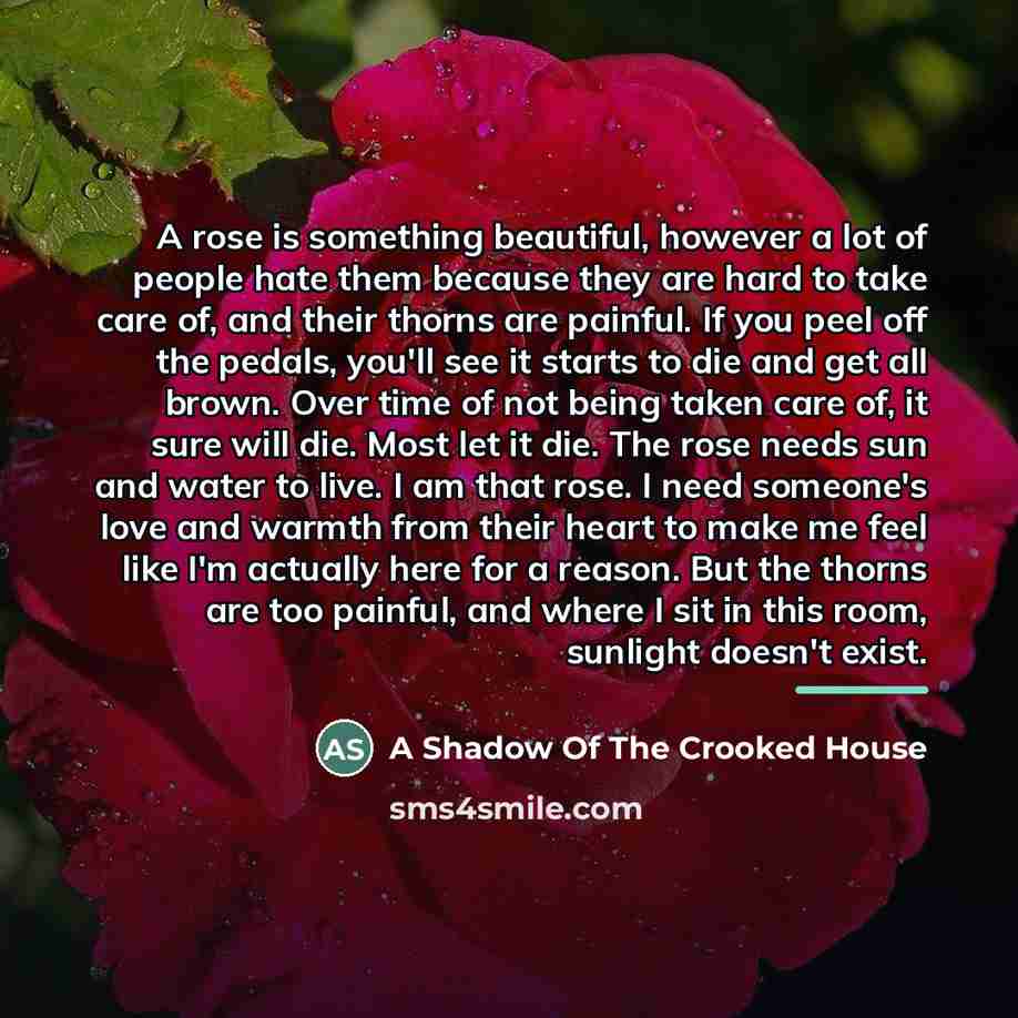 “A rose is something beautiful, however a lot of people…” quote by A Shadow Of The Crooked House