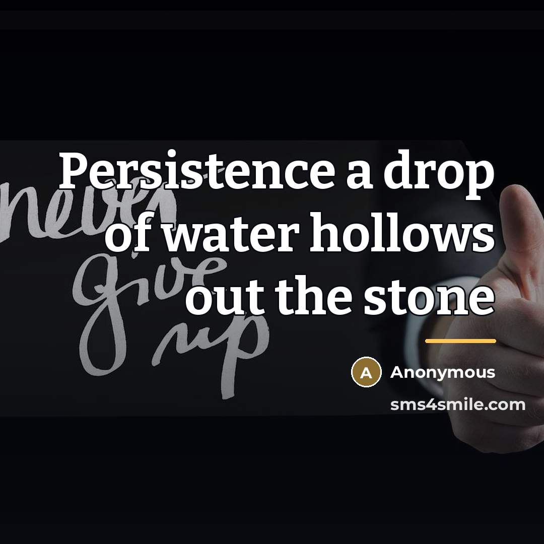 “Persistence a drop of water hollows out the stone…” quote by Anonymous