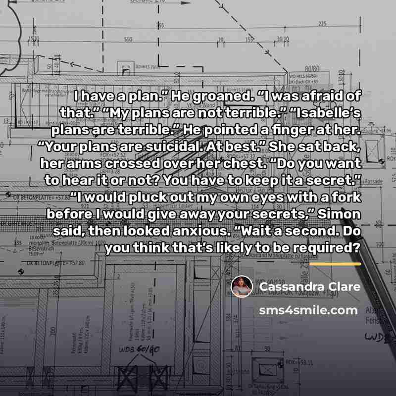 “I have a plan.” He groaned. “I was afraid of…” quote by Cassandra Clare
