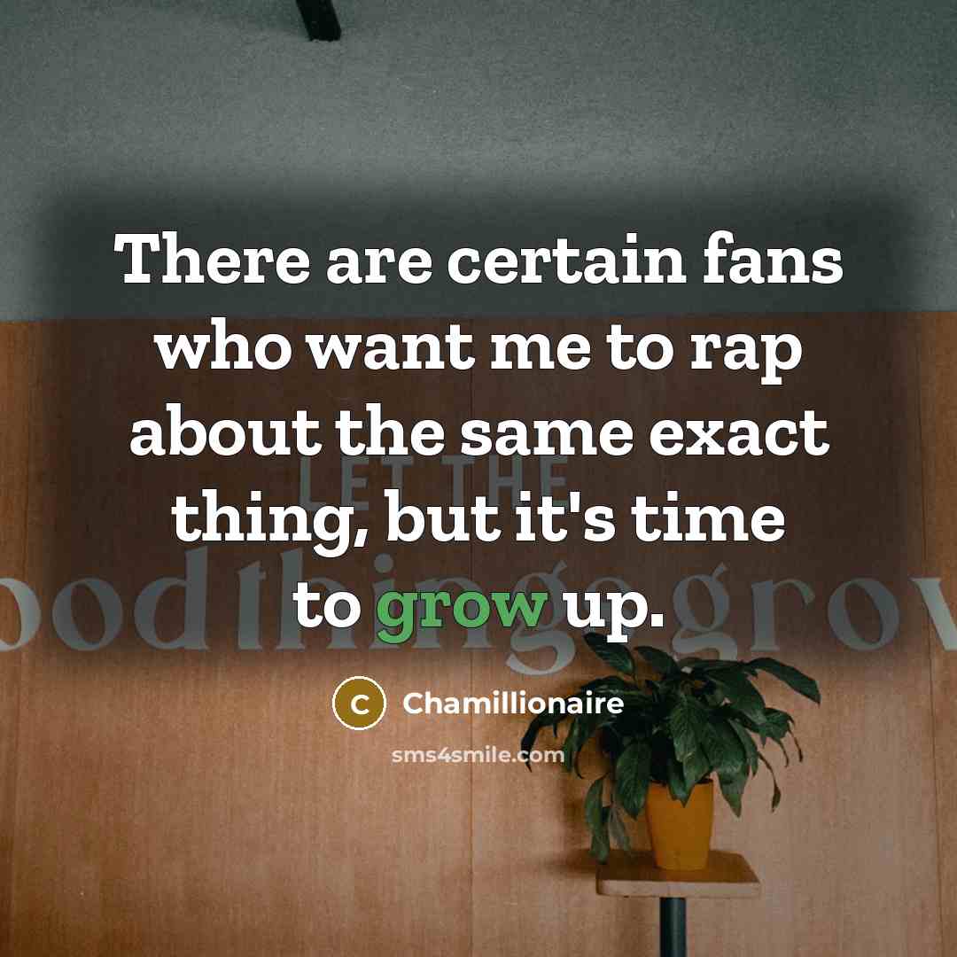 “There are certain fans who want me to rap about…” quote by Chamillionaire